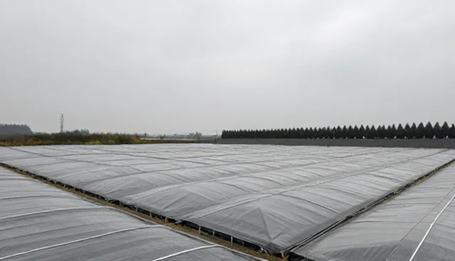 技术服务产品适配性:适用情况与限制分析